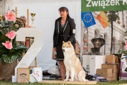 Wystawa Sami Uniejów CACIB 9.05.2026